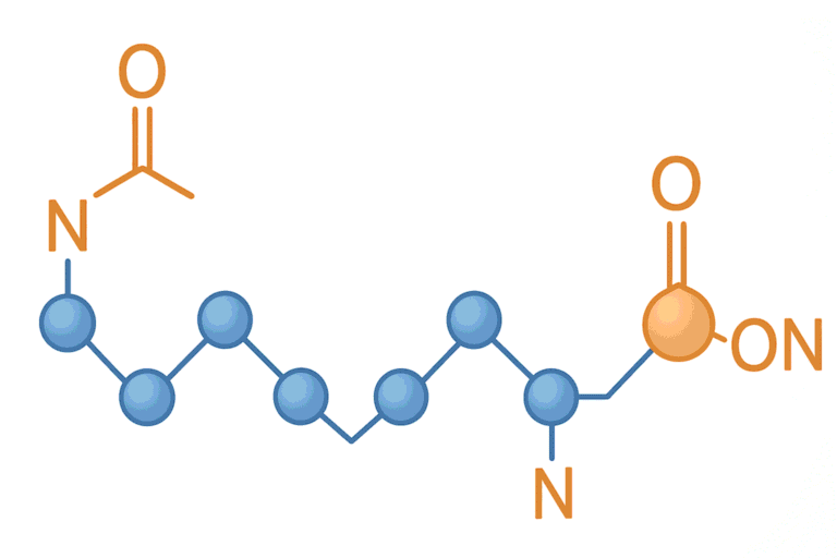 Peptide molecule structure with amino acids and chemical bonds.