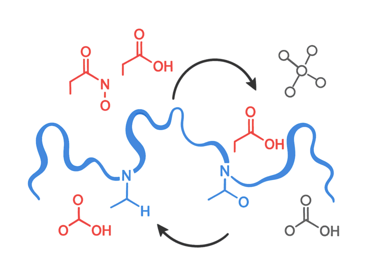 Diagram of peptide synthesis with amino acids and chemical reactions.