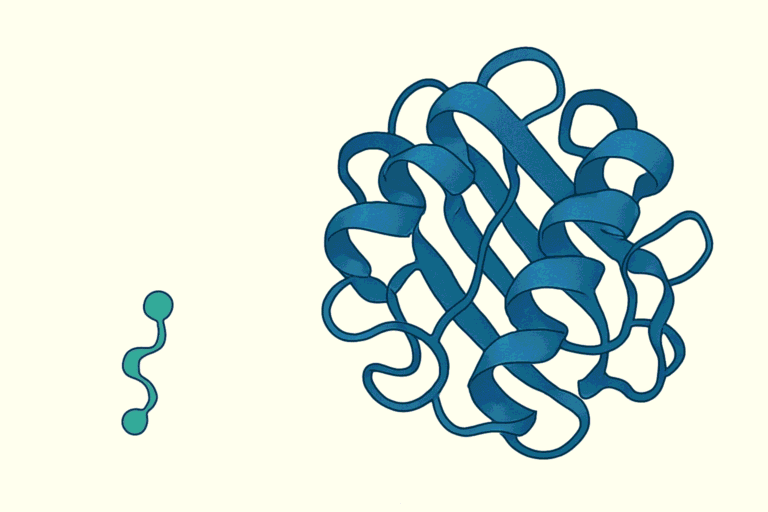 Illustration of peptide chains representing Alpha Peptides for skin health.